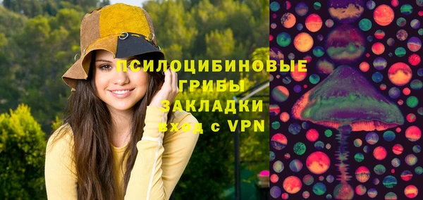крисы Баксан