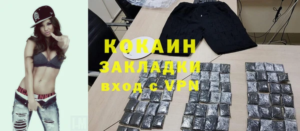 крисы Баксан